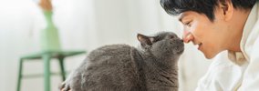 猫が『尊敬している人』にだけみせるサイン5選　リスペクトされる人の…
