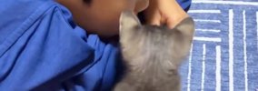 『大好きなお兄ちゃん』が帰ってくると…小さな子猫が見せた『可愛すぎ…