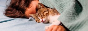 猫が『一緒に寝たい』と感じる人の特徴4つ　添い寝してくれる理由から…
