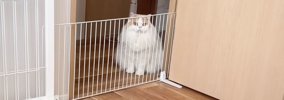 猫の様子がおかしいのでついて行ってみた結果…『信じられない光景』が…