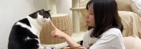 猫が『酔っ払いのママ』に捕まった結果…表情が面白すぎると12万2000再…