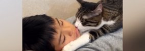 高熱を出して『寝込んでいる男の子』に……猫が見せた『普段とは違う姿…