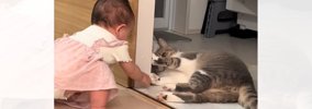 ハイハイしていた赤ちゃんが急に立ち上がった結果…猫の『まさかの反応…