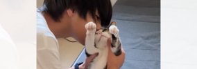 横になってくつろいでいた猫のもとに息子が近づいていくと…『されるが…