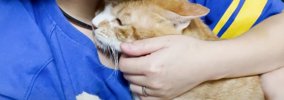 保護した野良猫を抱っこしていたら、先住猫が…『素敵な行動』に思わず…