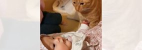 赤ちゃんがお家にやってきたら、『初めて目にした猫』が…まさかの尊い…