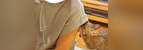 半年ぶりに遊びに来た姪っ子ちゃん→猫が匂いチェックし始めて…次の瞬…