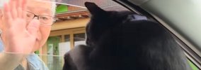 故郷にいるおじいちゃんとの"別れ際"に…猫がとった『まさか…