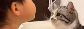 顔を近づけてキスをしようとしてきた子どもに……猫が見せた『優しすぎ…
