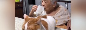 おばあちゃんが口をゆすごうとしたら、『目の前にいた猫』が…ハプニン…