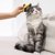 「猫にスキンケアって必要なの？」毛づくろいだけでは防げない皮膚トラブル対策とは？【獣医師執筆】