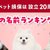 アイペット損保が「ペットの名前ランキング2024」を発表！ 