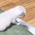 保護された『赤ちゃん猫』→先住猫たちのもとへ行くと…あまりにも『優しい光景』に「ずっと見ていたい」「涙が出る」と反響