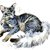 【獣医師監修】オリエンタルロングヘアってどんな猫？猫種の性格や飼う前の注意点・価格相場まで徹底解説