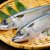 【獣医師監修】猫に青魚を与えても大丈夫？黄色脂肪症のリスクや与える際の注意点を解説