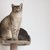 【獣医師監修】オーストラリアンミストってどんな猫？猫種の性格や飼う前の注意点・価格相場まで徹底解説