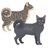 【獣医師監修】アメリカンリングテイルってどんな猫？猫種の性格や飼う前の注意点・価格相場まで徹底解説