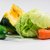 【獣医師監修】猫が食べてもいい野菜・食べてはいけない野菜一覧！栄養や与え方も解説