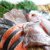 【獣医師監修】猫が食べてもいい魚・食べてはいけない魚一覧！栄養や与え方も解説