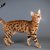 【獣医師監修】ベンガルってどんな猫？特徴や性格から飼う前の注意点・価格相場まで徹底解説