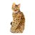 【獣医師監修】カリフォルニアスパングルドってどんな猫？特徴や性格から飼う前の注意点・価格相場まで徹底解説