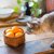猫はみかんを食べてもいい？皮と果肉の危険性の違いと安全な与え方