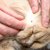 猫からうつるウイルスで人が死亡…“SFTS”とは？今すぐできる予防策を獣医が解説