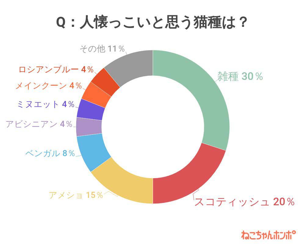 人懐っこいと思う猫種は？のアンケート結果