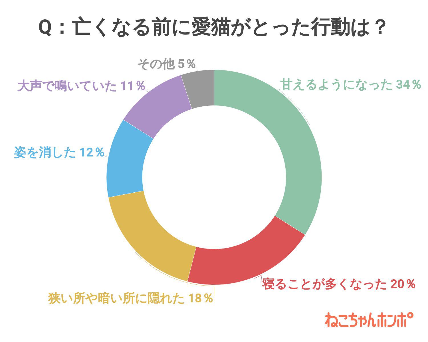 愛猫が亡くなる前、どんな行動をとっていましたか？のアンケート結果