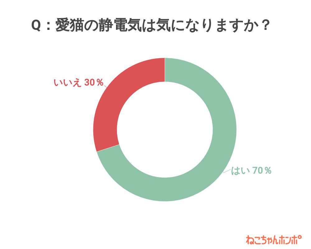 猫の静電気は気になる？