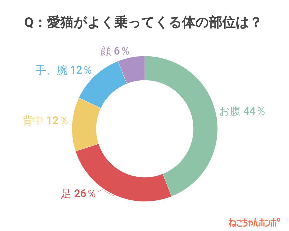 アンケート結果グラフ（猫がよく乗ってくる体の部位はどこですか？）