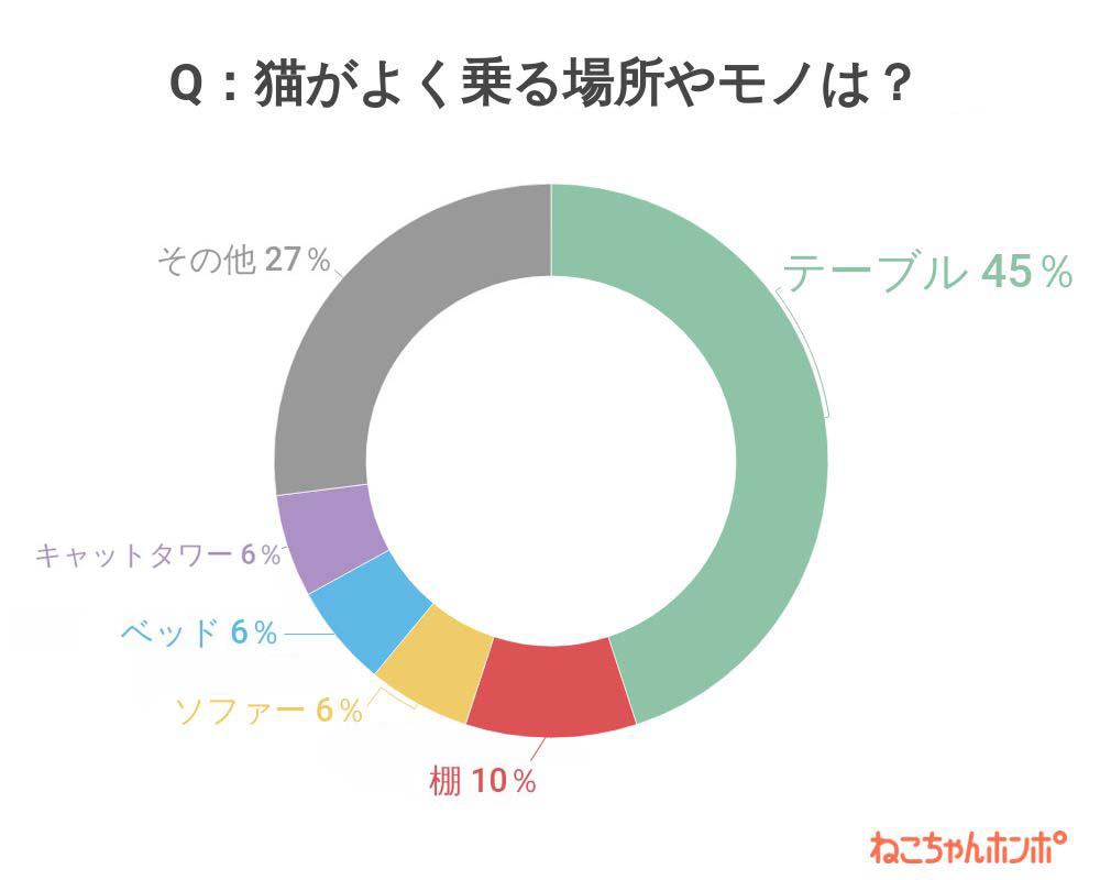 アンケート結果グラフ（部屋の中で猫がよく乗るモノはなんですか？）