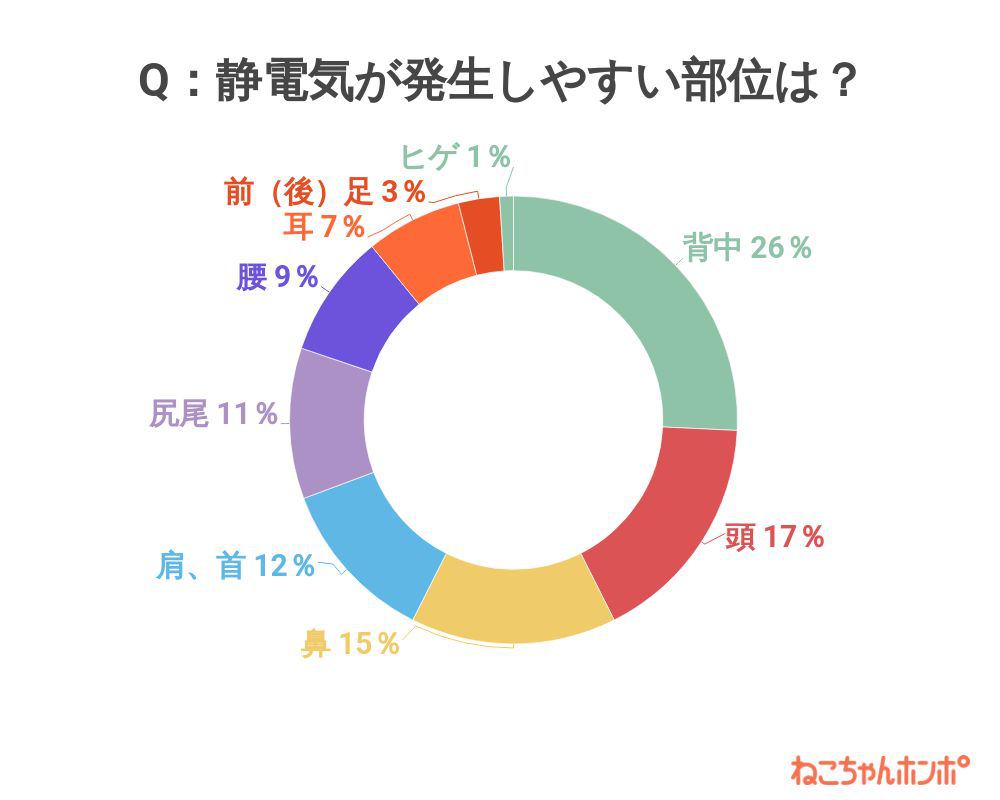 静電気が起きやすい部位はどこ？