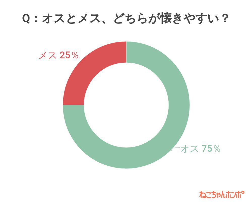 オスとメスはどちらが懐きやすいと思いますか？のアンケート結果