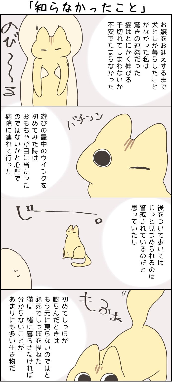 きょうも、お猫様はいとをかし。第40話