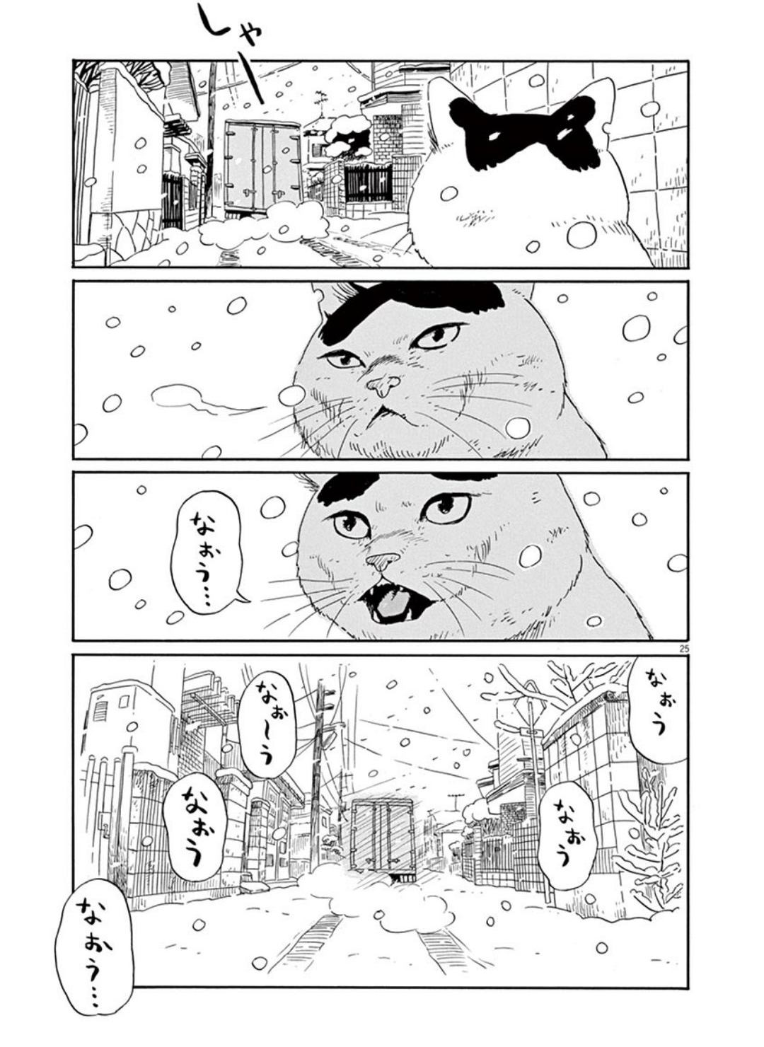 家猫ぶんちゃんの一年p25