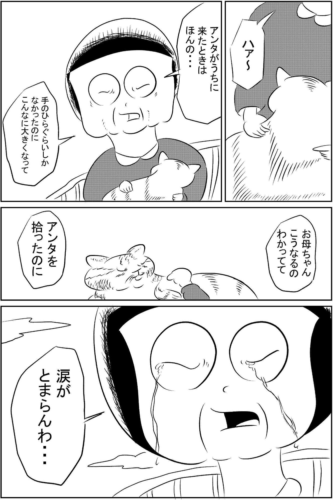 猫に寿命をわける話-11