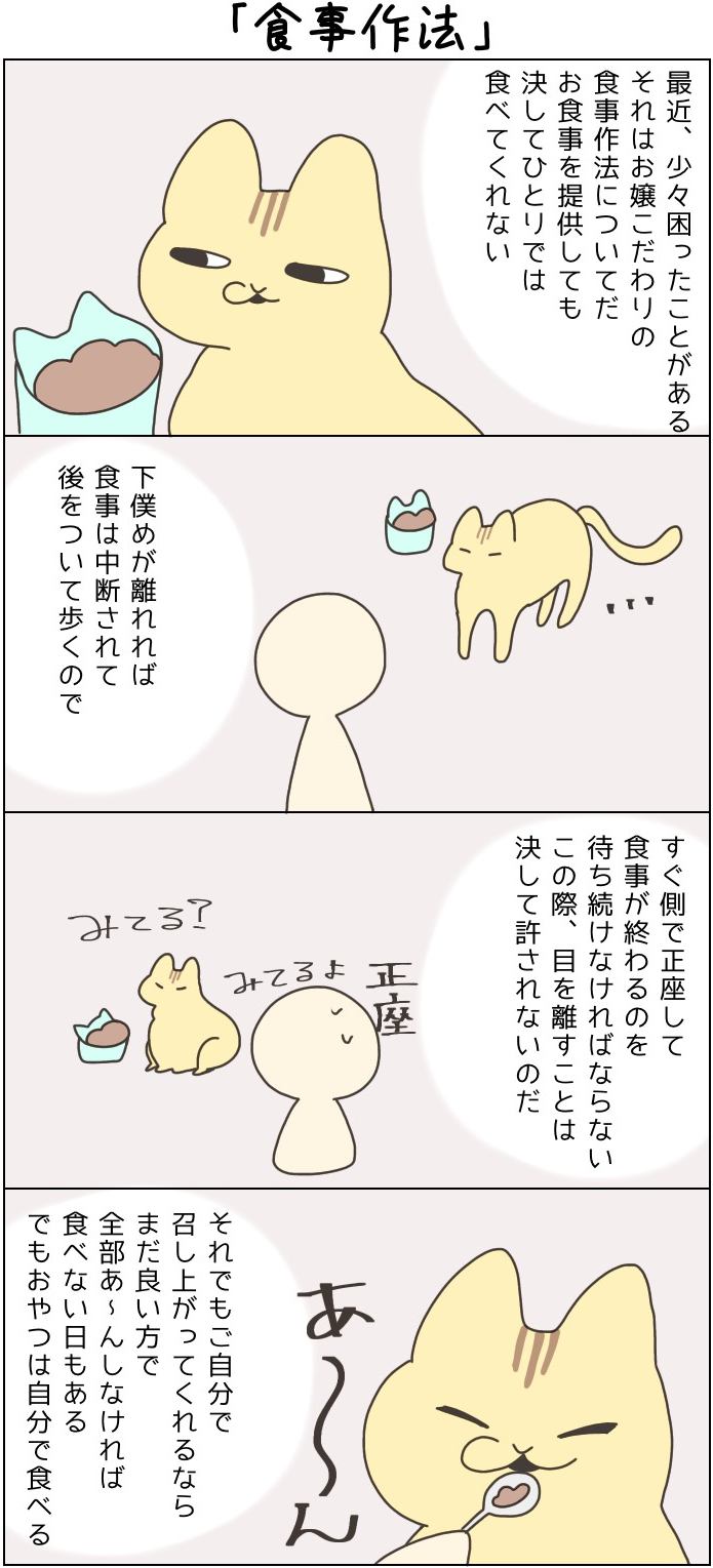 きょうも、お猫様はいとをかし。第41話