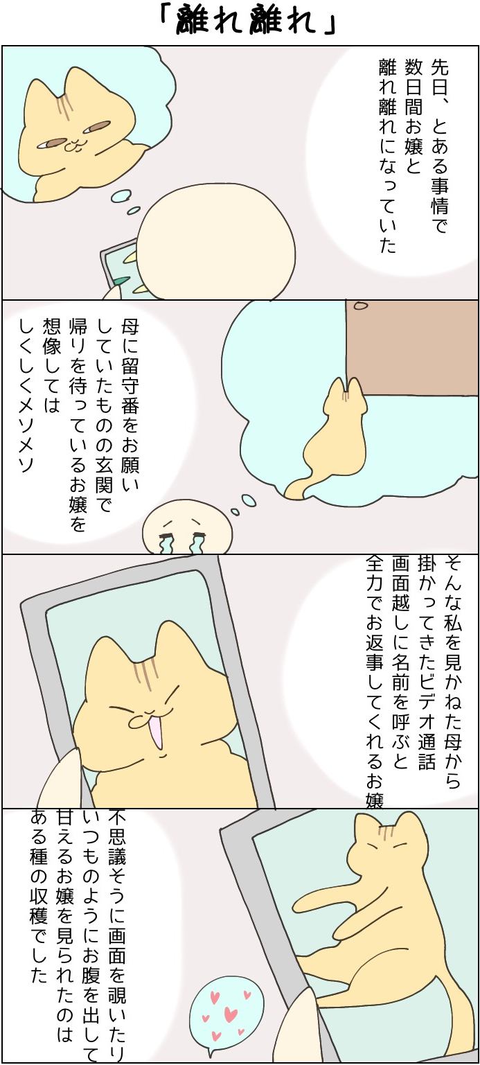 きょうも、お猫様はいとをかし。第36話