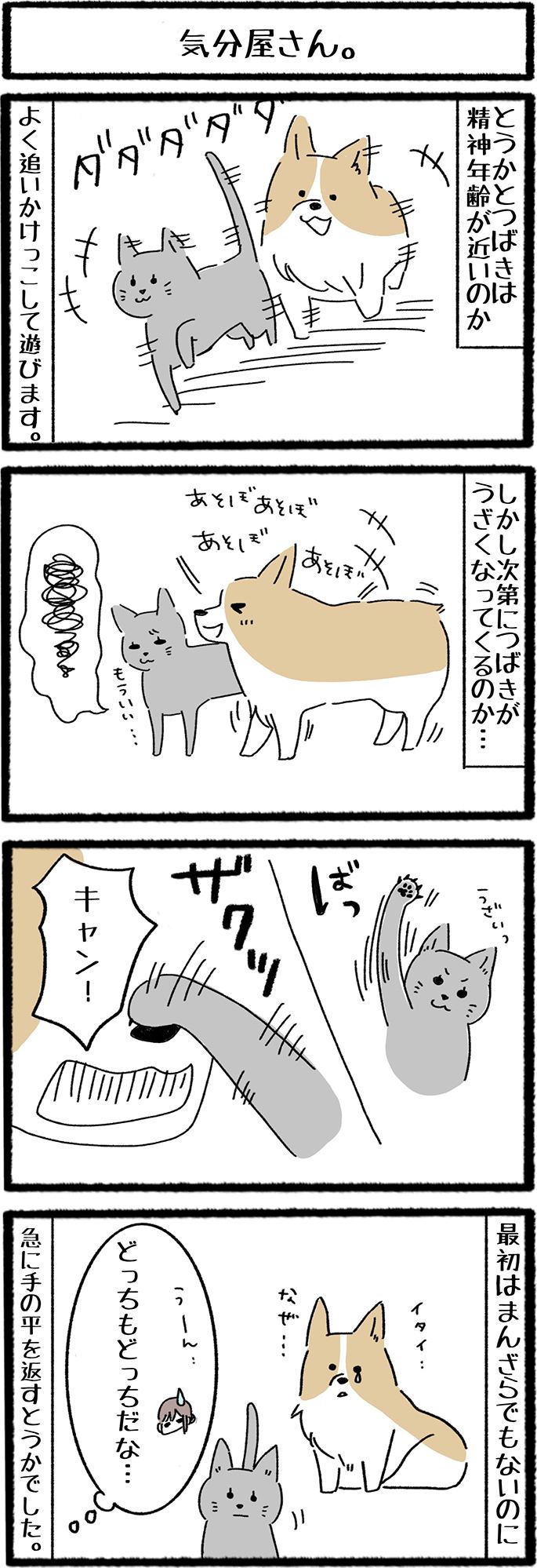 ねこよんコギわん第9話