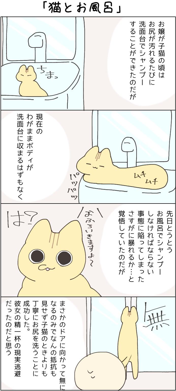 きょうも、お猫様はいとをかし。第38話