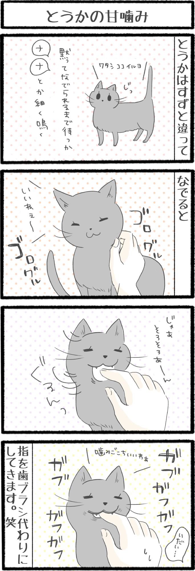 ねこよんコギわん第34話