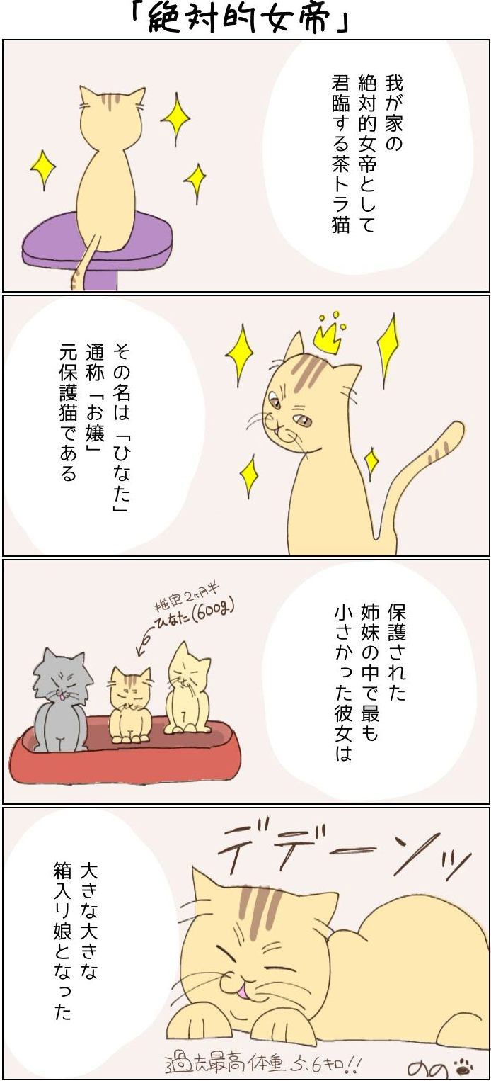 きょうも、お猫様はいとをかし。第1回