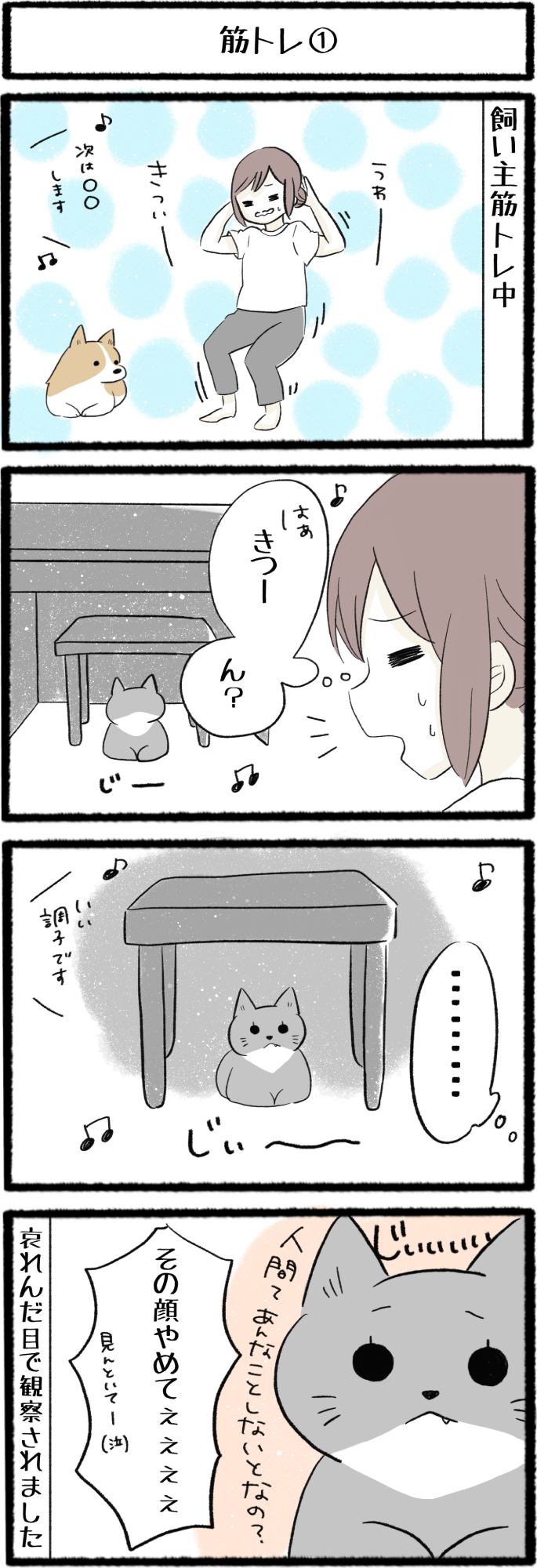 ねこよんコギわん第27話