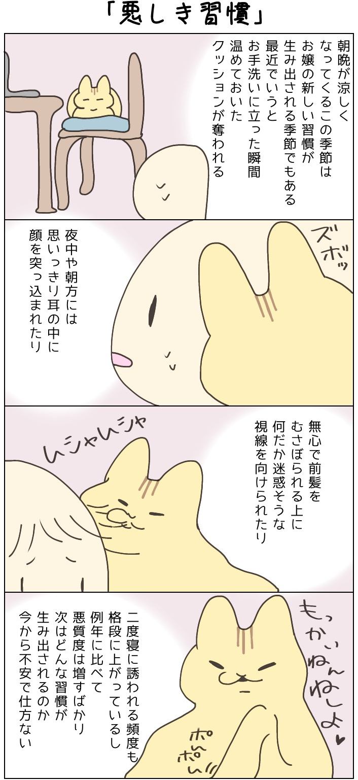 きょうも、お猫様はいとをかし。第45話