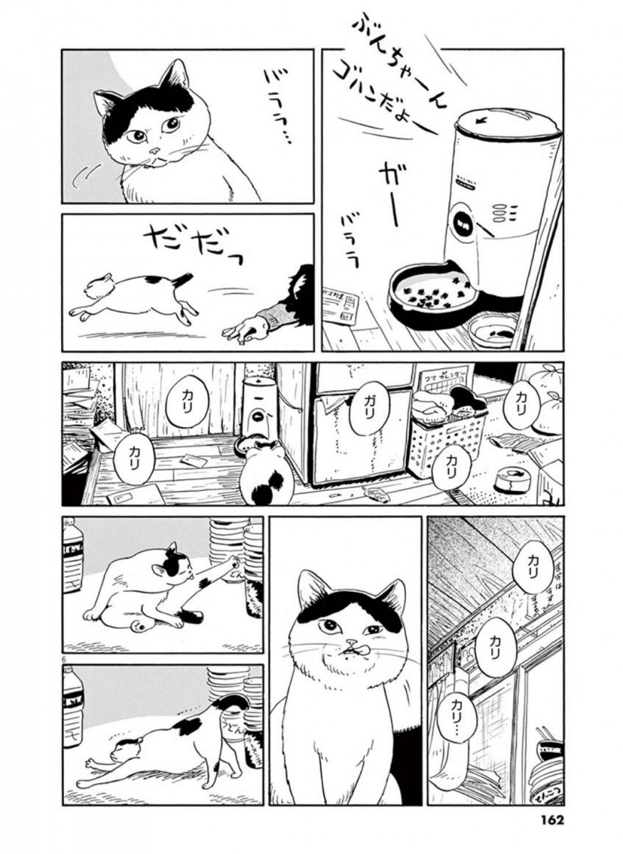 家猫ぶんちゃんの一年p6