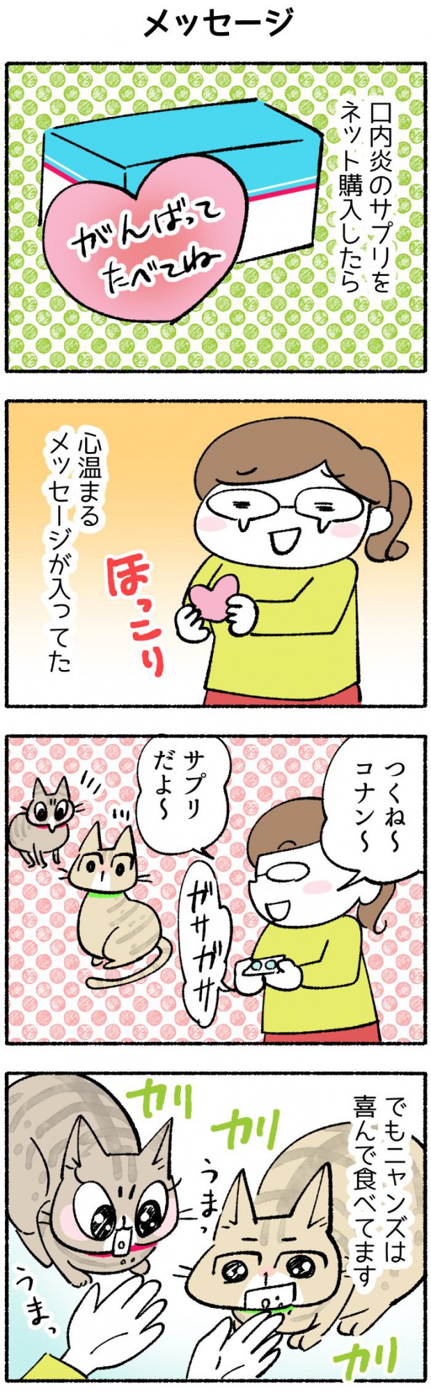 半分アメショのつくねとコナン【第106話】