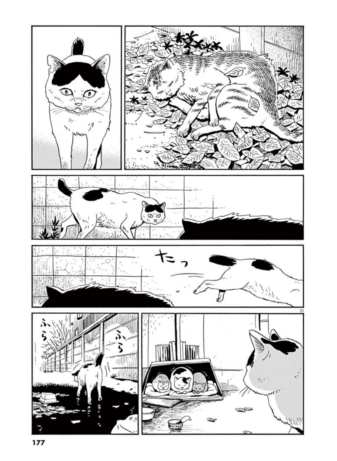 家猫ぶんちゃんの一年p21