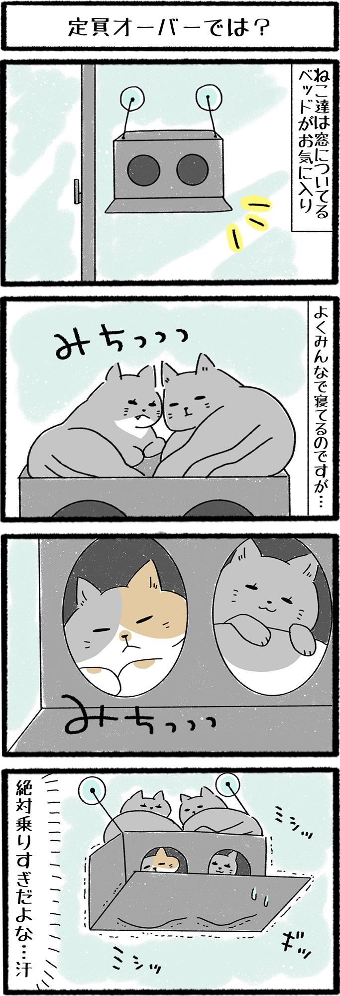 ねこよんコギわん第11話