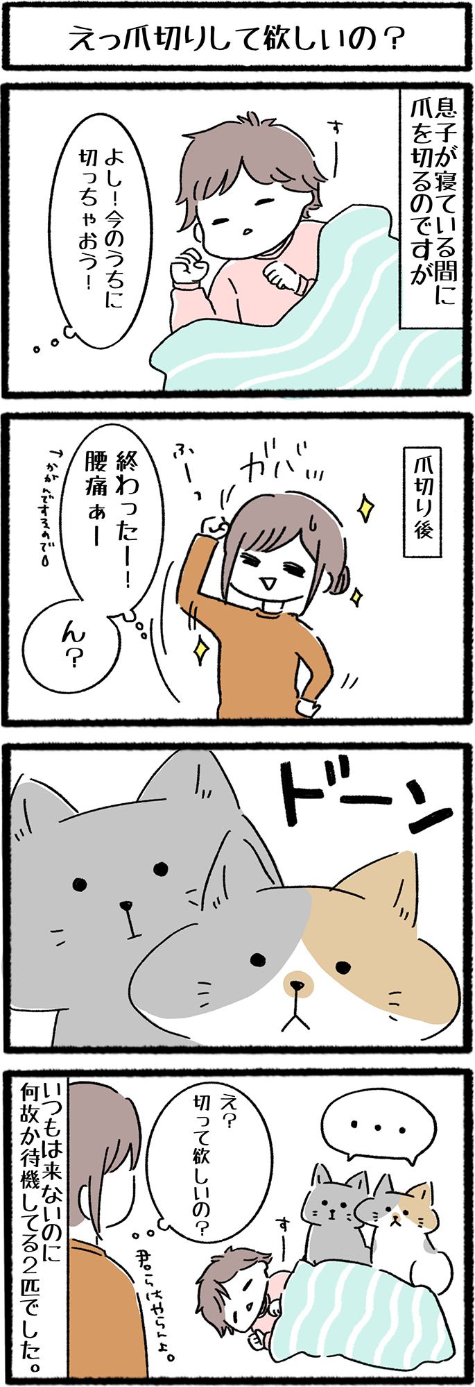 ねこよんコギわん第7話